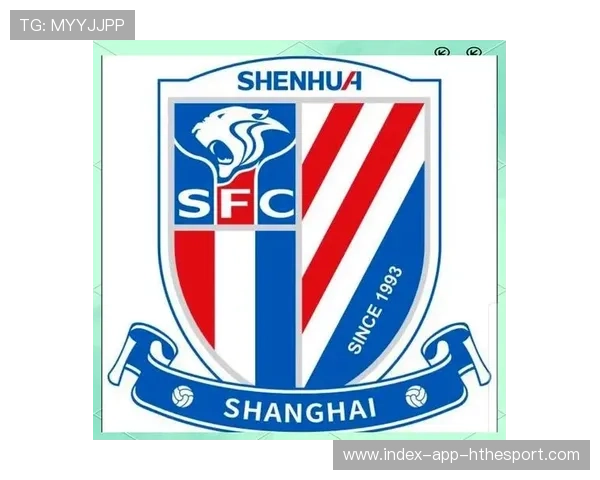 足协裁判会支持申花球员无犯规判定，申花队足协杯首发